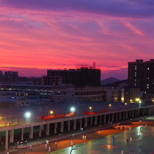 每日大赛 反差大赛 官网
