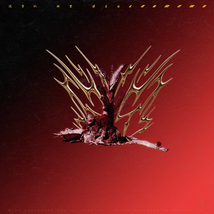 每日大赛 反差大赛 官网
